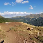 Recente Au Lioran A Proximite Des Remontees Mecaniques * Laveissière