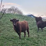 Recente Au Lioran A Proximite Des Remontees Mecaniques Laveissière
