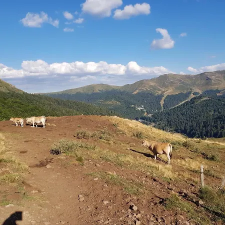 Recente Au Coeur Des Monts Du Cantal * Laveissiere