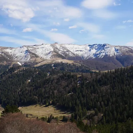 Recente Au Coeur Des Monts Du Cantal Apartment *