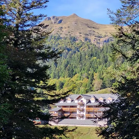 Recente Au Coeur Des Monts Du Cantal * Laveissiere