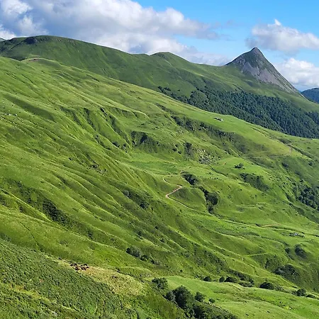 Apartment Recente Au Coeur Des Monts Du Cantal Laveissiere