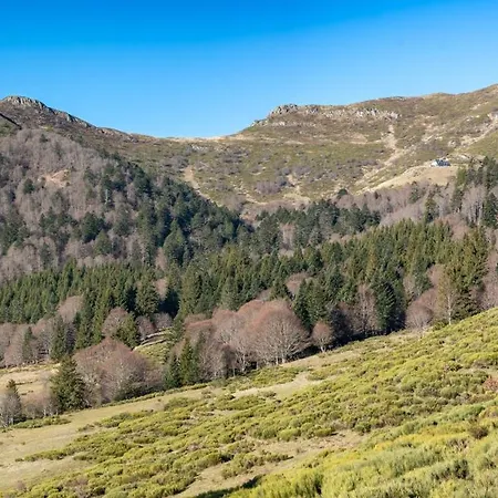 Recente Au Lioran A Proximite Des Remontees Mecaniques *