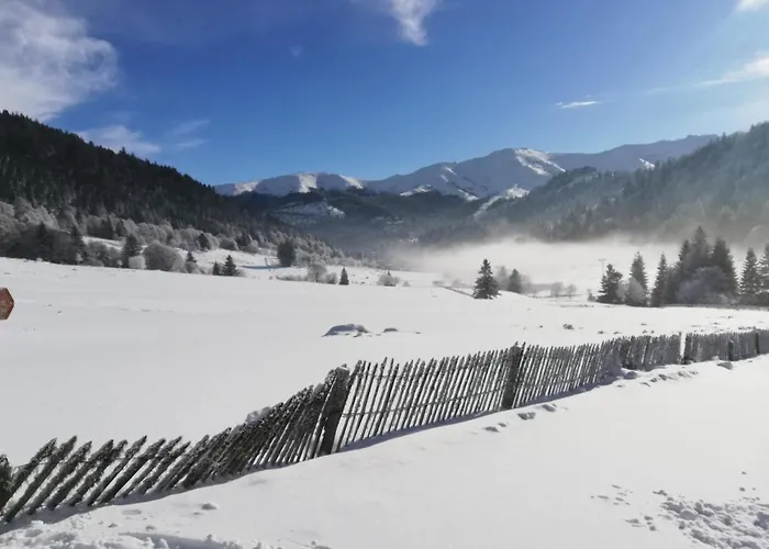 Апартаменты Recente Au Lioran A Proximite Des Remontees Mecaniques *